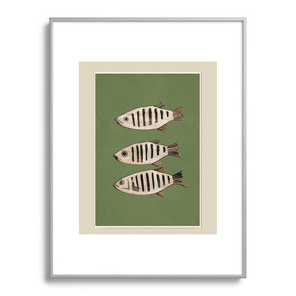 Abstract Fish Study II Framed Art Print Gallery Image 98