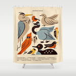 Midwest Birds Guide Shower Curtain Gallery Image 1