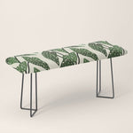 begonia maculata interior plant Bench Gallery Image 1