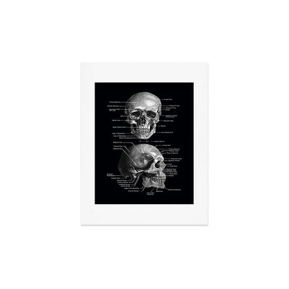 Skull Anatomy - Dark Version Art Print Gallery Image 4
