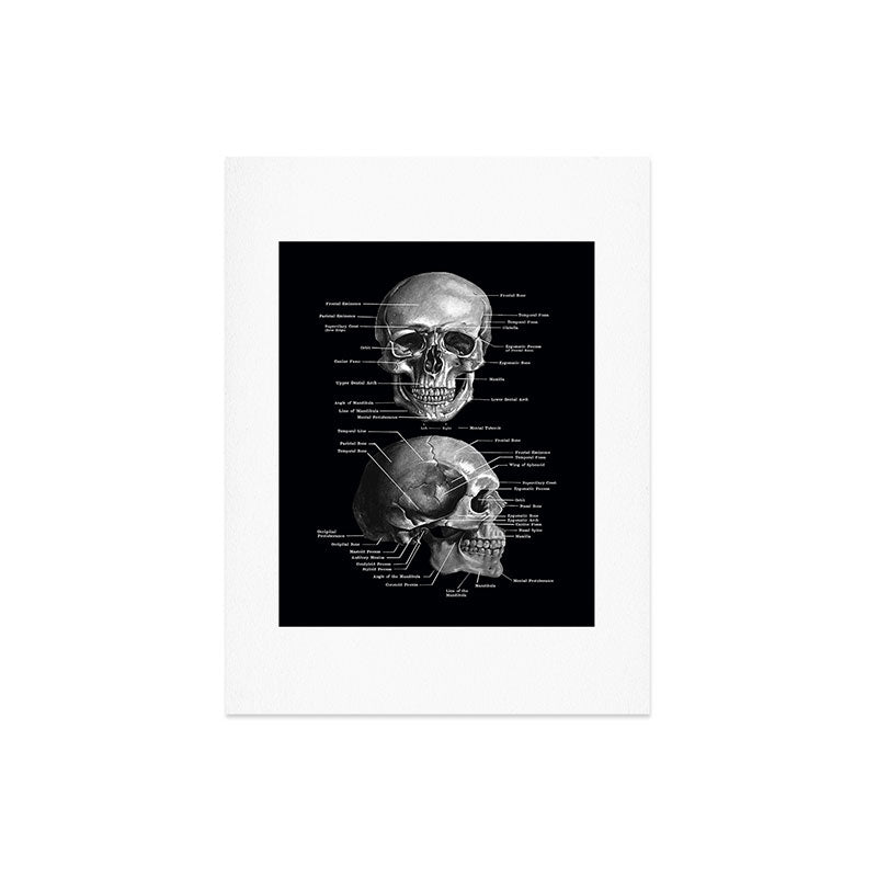 Skull Anatomy - Dark Version Art Print Gallery Image 8