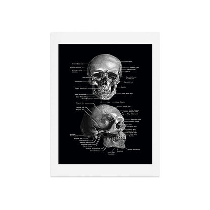 Skull Anatomy - Dark Version Art Print Gallery Image 9