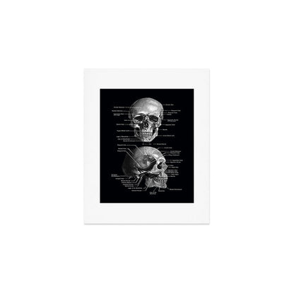 Skull Anatomy - Dark Version Art Print Gallery Image 1