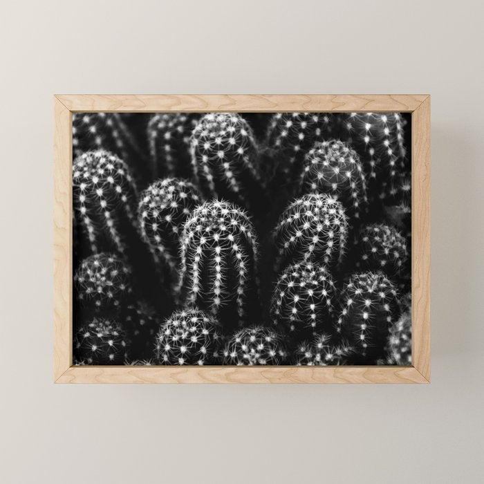 Cactus nature XIII Mini Art Print Gallery Image 1