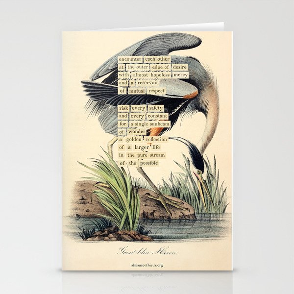 Bird Divinations: Great Blue Heron (about: almanacofbirds.org) Stationery Card Gallery Image 2