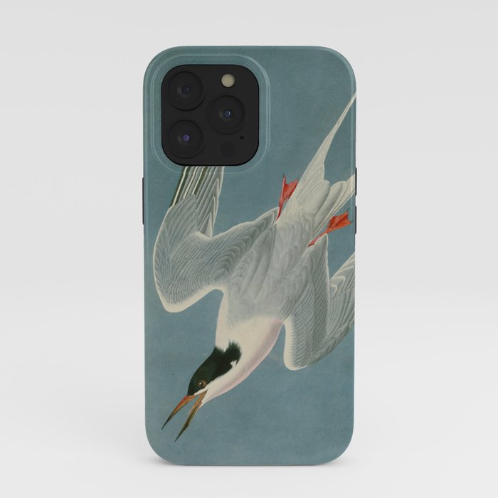Roseate Tern - John James Audubon Birds of America iPhone Case Gallery Image 39