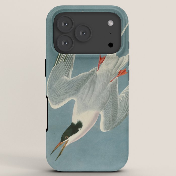 Roseate Tern - John James Audubon Birds of America iPhone Case Gallery Image 7