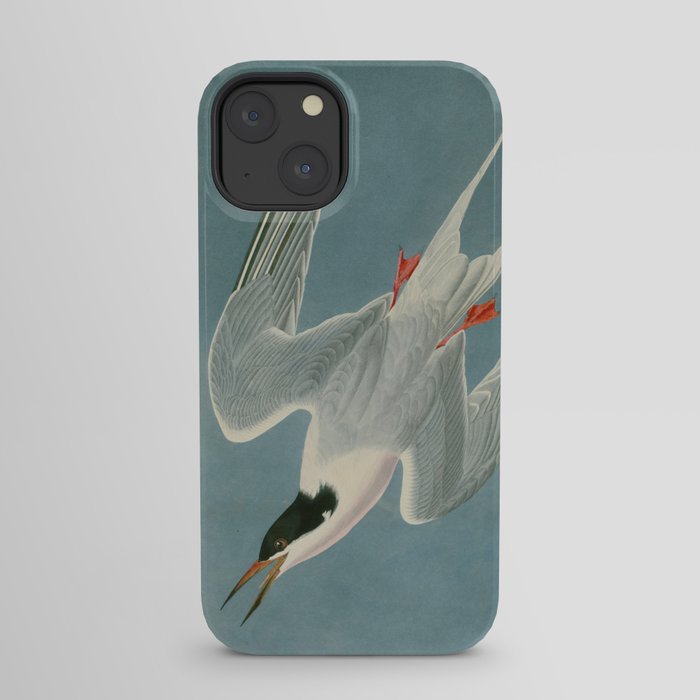 Roseate Tern - John James Audubon Birds of America iPhone Case Gallery Image 29