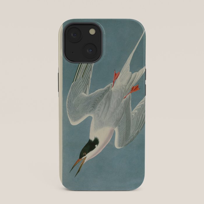 Roseate Tern - John James Audubon Birds of America iPhone Case Gallery Image 33