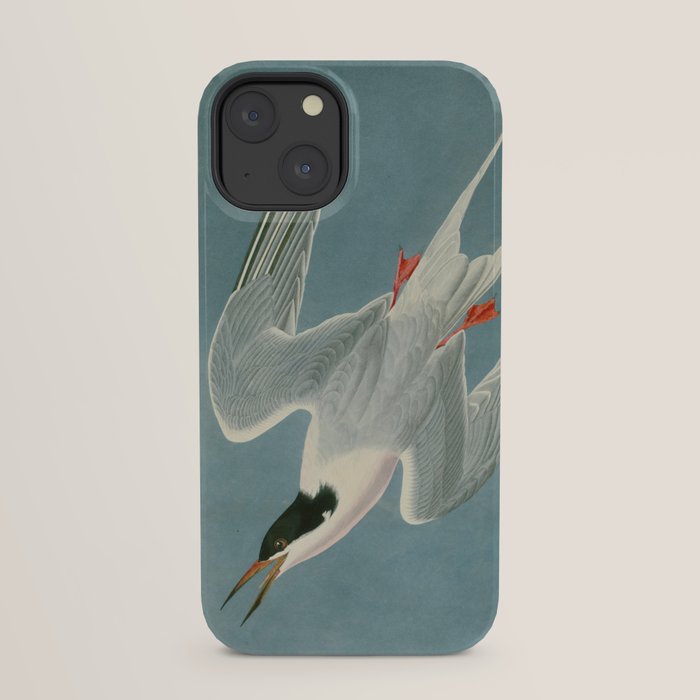 Roseate Tern - John James Audubon Birds of America iPhone Case Gallery Image 21