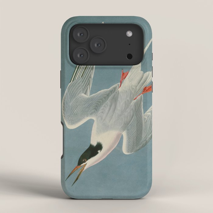 Roseate Tern - John James Audubon Birds of America iPhone Case Gallery Image 4