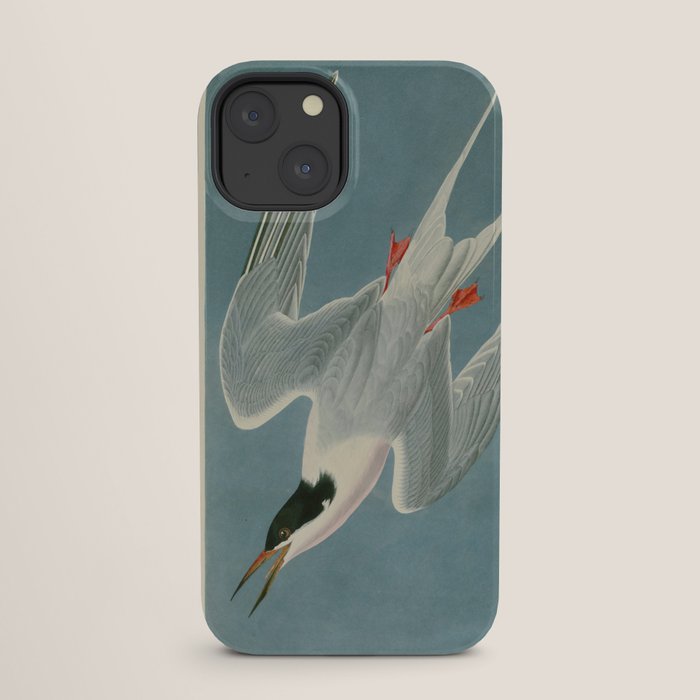 Roseate Tern - John James Audubon Birds of America iPhone Case Gallery Image 25