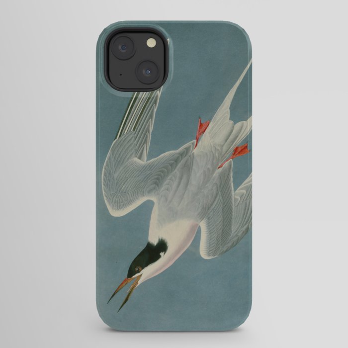 Roseate Tern - John James Audubon Birds of America iPhone Case Gallery Image 30