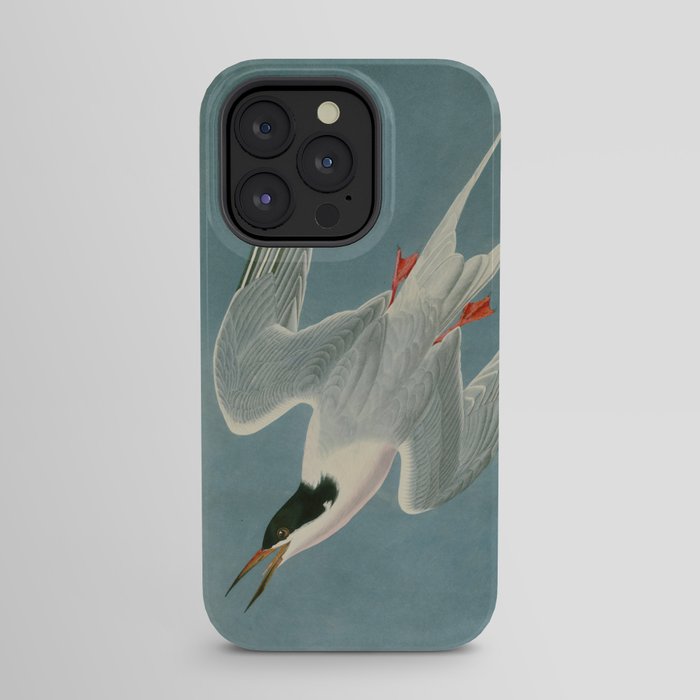 Roseate Tern - John James Audubon Birds of America iPhone Case Gallery Image 31
