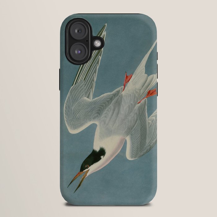 Roseate Tern - John James Audubon Birds of America iPhone Case Gallery Image 10