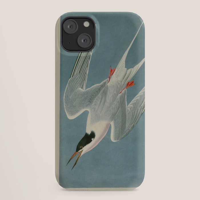 Roseate Tern - John James Audubon Birds of America iPhone Case Gallery Image 18