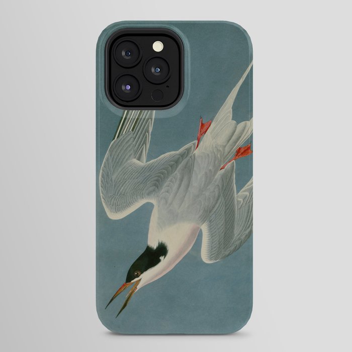 Roseate Tern - John James Audubon Birds of America iPhone Case Gallery Image 24