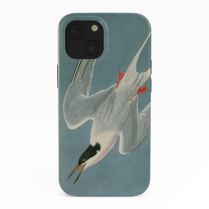 Roseate Tern - John James Audubon Birds of America iPhone Case Gallery Image 38