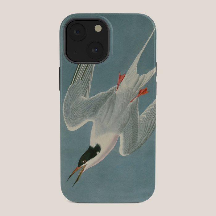 Roseate Tern - John James Audubon Birds of America iPhone Case Gallery Image 34
