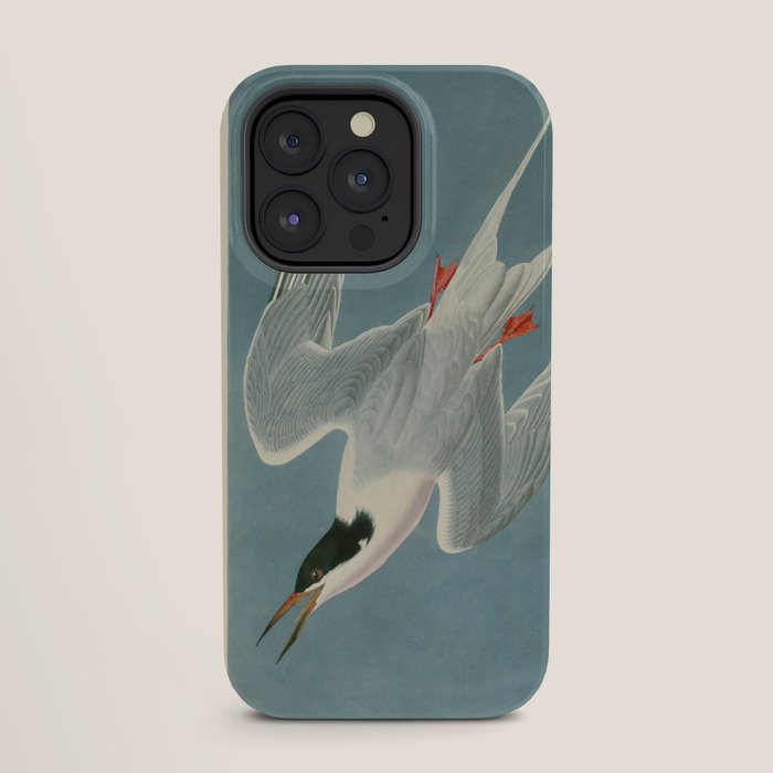 Roseate Tern - John James Audubon Birds of America iPhone Case Gallery Image 27