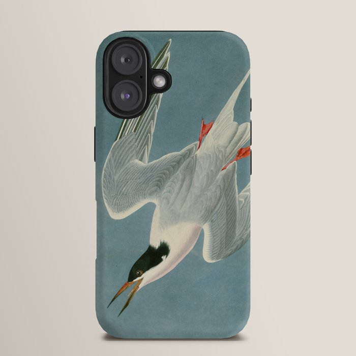 Roseate Tern - John James Audubon Birds of America iPhone Case Gallery Image 13