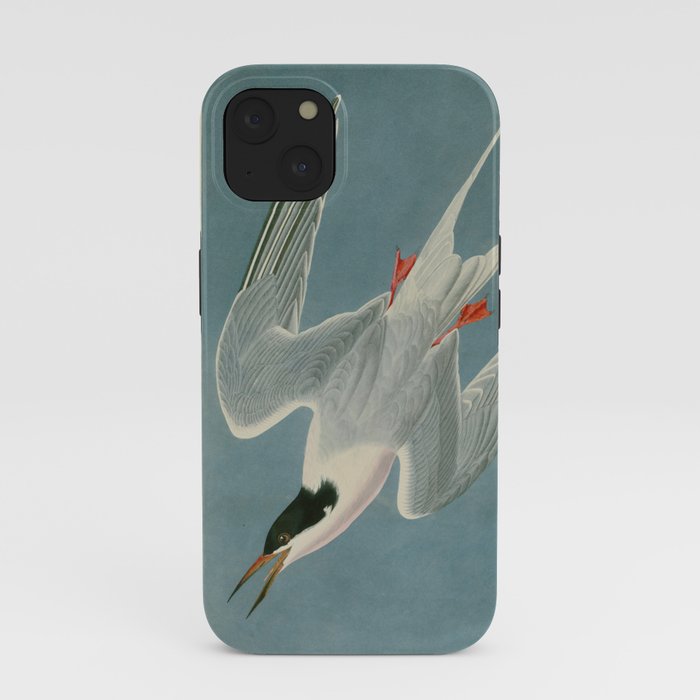 Roseate Tern - John James Audubon Birds of America iPhone Case Gallery Image 37