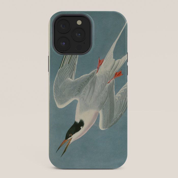 Roseate Tern - John James Audubon Birds of America iPhone Case Gallery Image 36