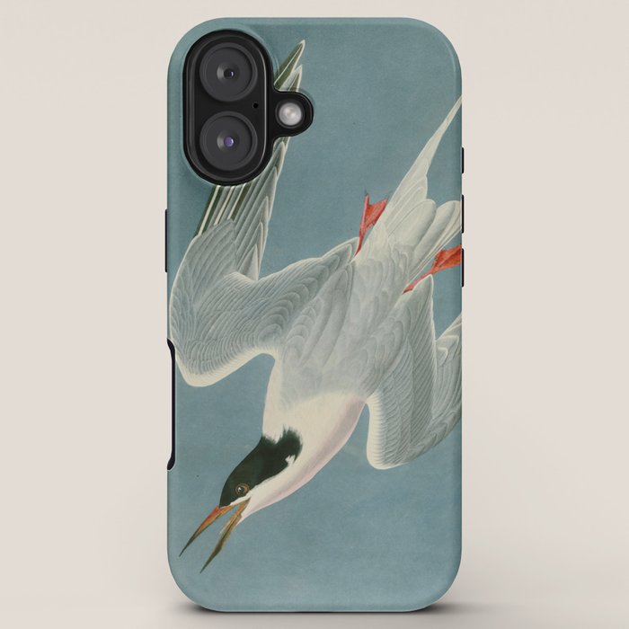 Roseate Tern - John James Audubon Birds of America iPhone Case Gallery Image 5