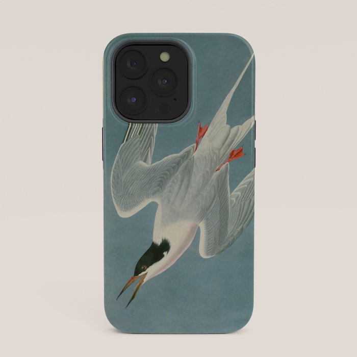 Roseate Tern - John James Audubon Birds of America iPhone Case Gallery Image 35