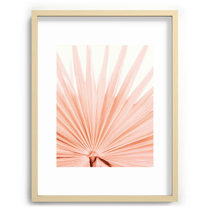 Blush Pink Fan Palm Framed Art Print Gallery Image 73
