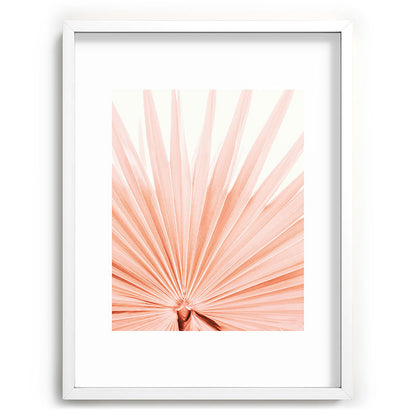 Blush Pink Fan Palm Framed Art Print Gallery Image 79