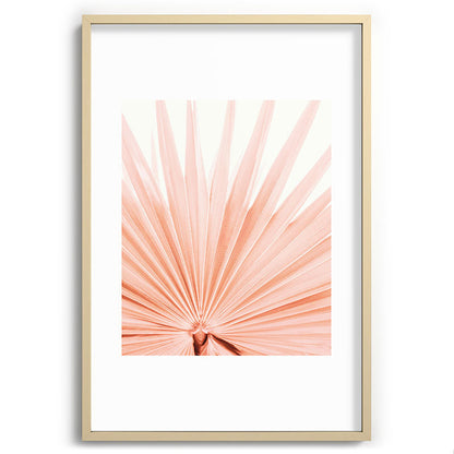 Blush Pink Fan Palm Framed Art Print Gallery Image 74