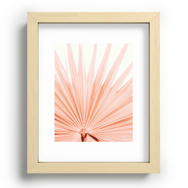 Blush Pink Fan Palm Framed Art Print Gallery Image 70