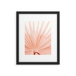 Blush Pink Fan Palm Framed Art Print Gallery Image 1