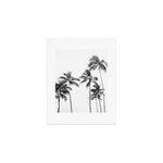 Palm Trees - Black and White Photography Art Print Gallery Image 1