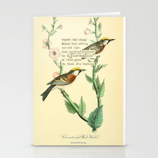 Bird Divinations: Chestnut-Sided Wood Warbler (about: almanacofbirds.org) Stationery Card Gallery Image 1