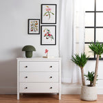 From Le Jardin Des Plantes Set Framed Poster