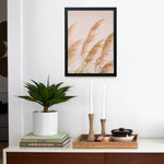 Pampas Grass 3 Framed Poster 12x16