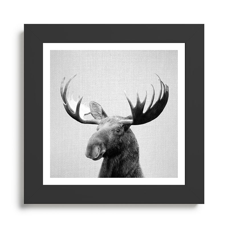 Moose - Black & White Framed Art Print Gallery Image 46