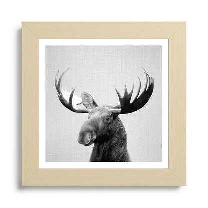 Moose - Black & White Framed Art Print Gallery Image 68