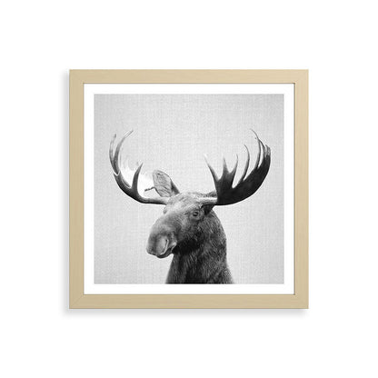 Moose - Black & White Framed Art Print Gallery Image 71