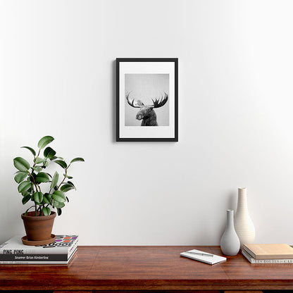 Moose - Black & White Framed Art Print Gallery Image 4