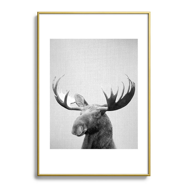 Moose - Black & White Framed Art Print Gallery Image 123