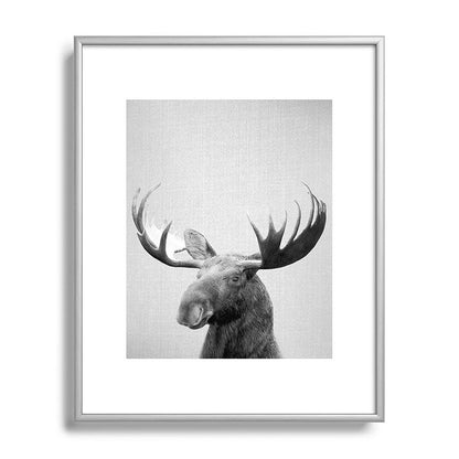 Moose - Black & White Framed Art Print Gallery Image 129