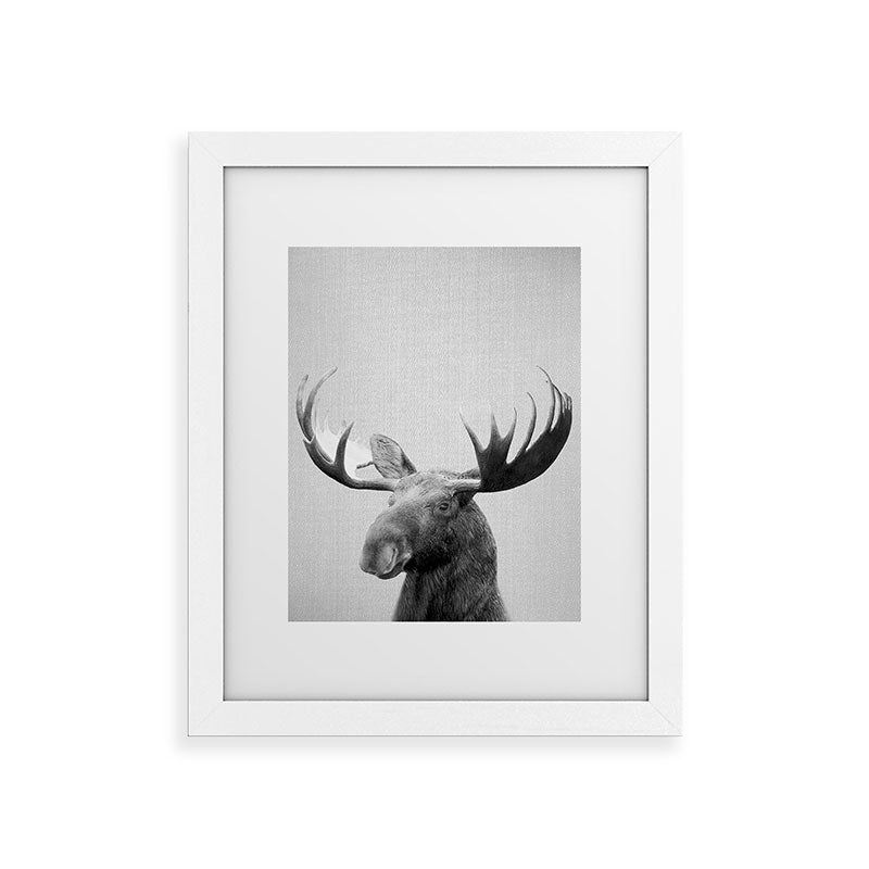 Moose - Black & White Framed Art Print Gallery Image 70