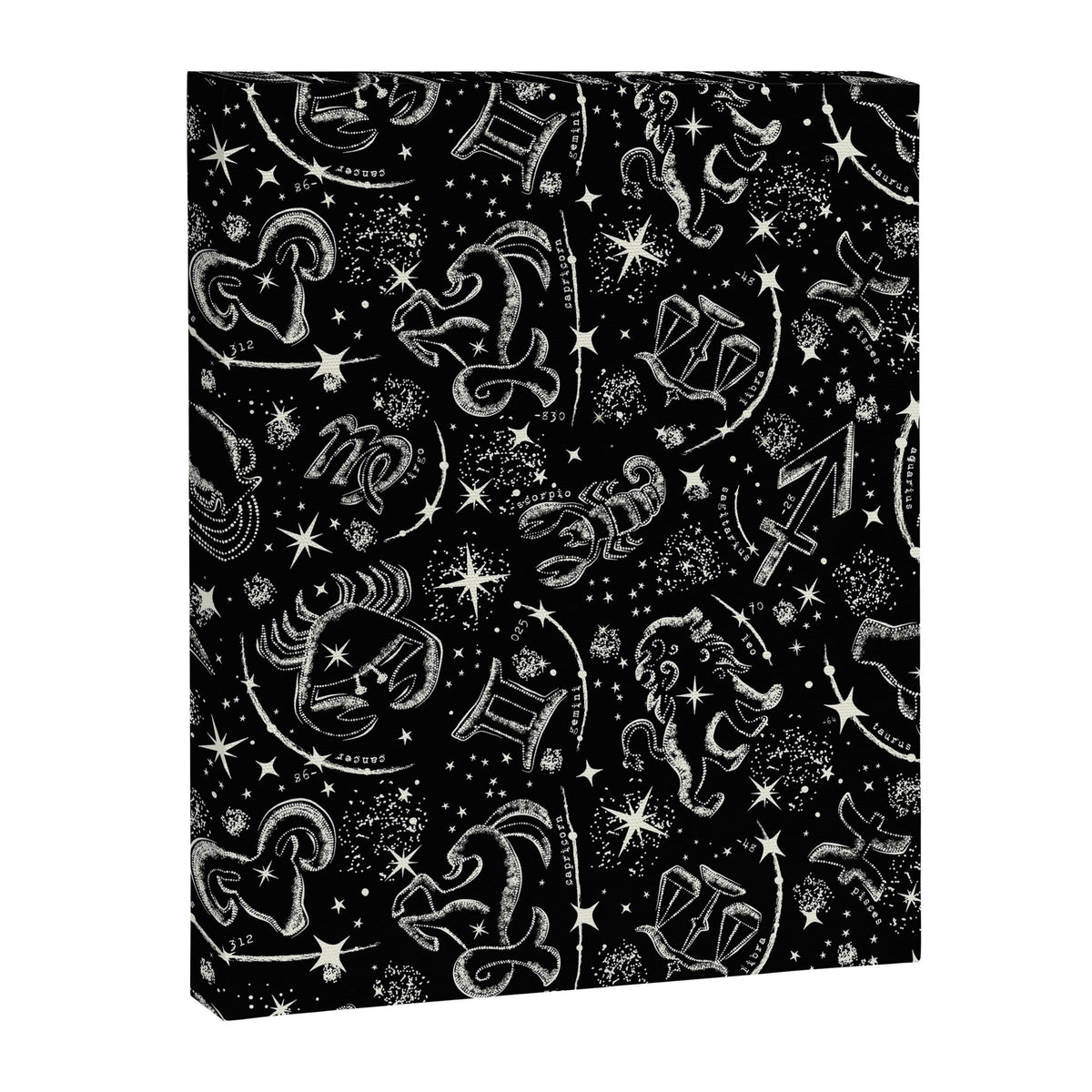 Star Child Canvas Print Gallery Image 7