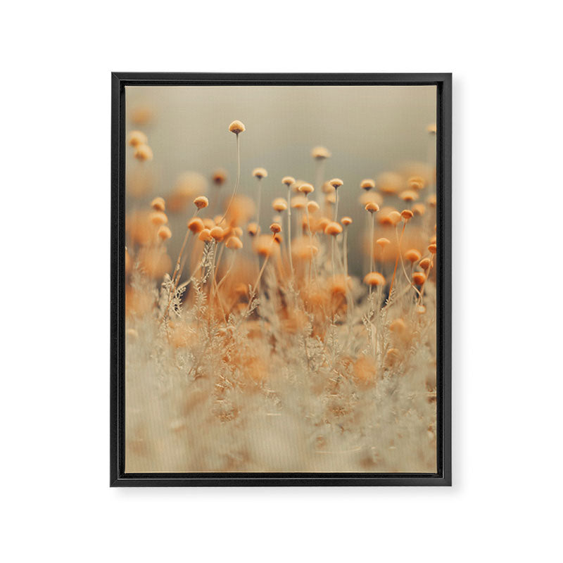 Mustard Yellow Flowers - Flower photography by Ingrid Beddoes Framed Canvas Print Gallery Image 4