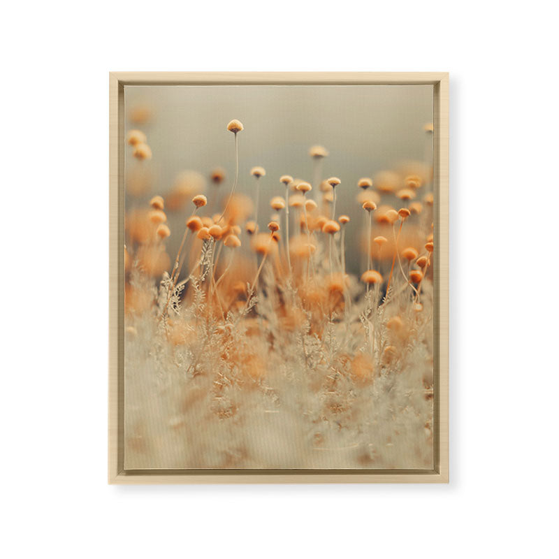 Mustard Yellow Flowers - Flower photography by Ingrid Beddoes Framed Canvas Print Gallery Image 15