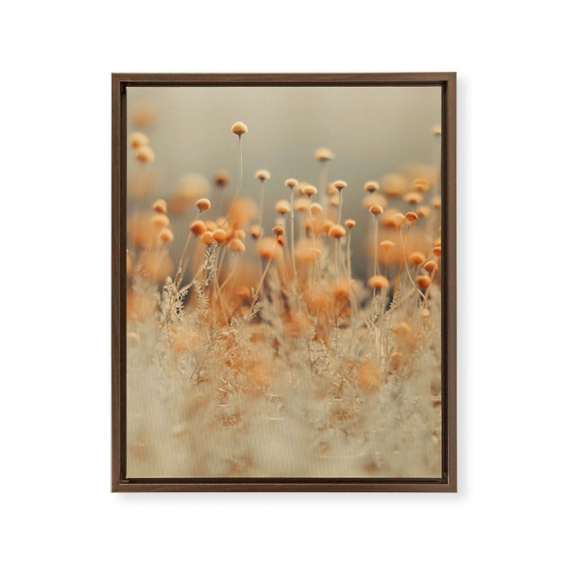 Mustard Yellow Flowers - Flower photography by Ingrid Beddoes Framed Canvas Print Gallery Image 8