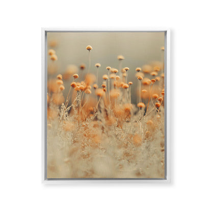 Mustard Yellow Flowers - Flower photography by Ingrid Beddoes Framed Canvas Print Gallery Image 19